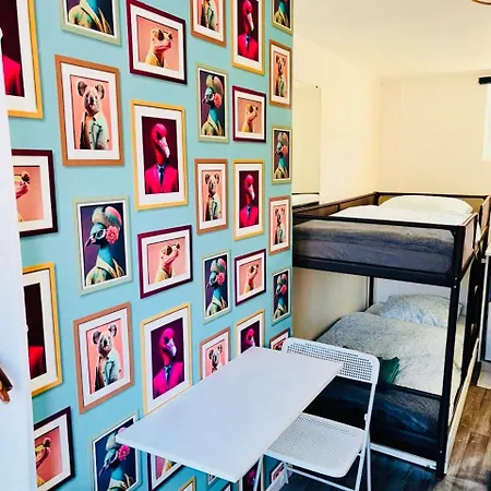 Place à Quelques Pas Du Musée Du Louvre Au Centre De